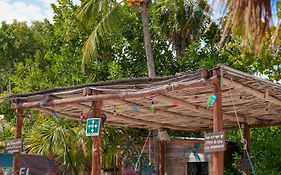 Mapache Hostel